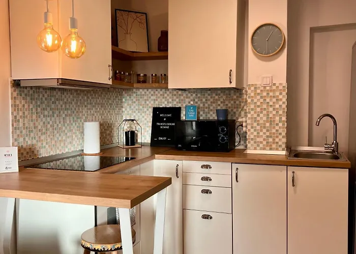 Transylvanian Nomad Ii Apartment Cluj-Napoca