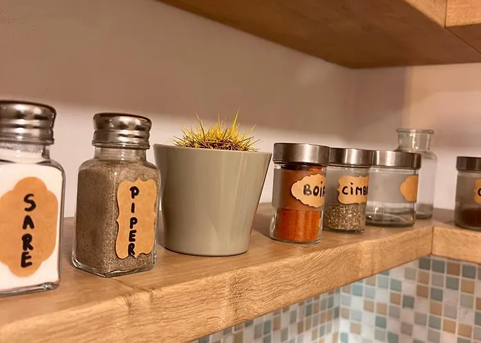 Apartment Transylvanian Nomad Ii *